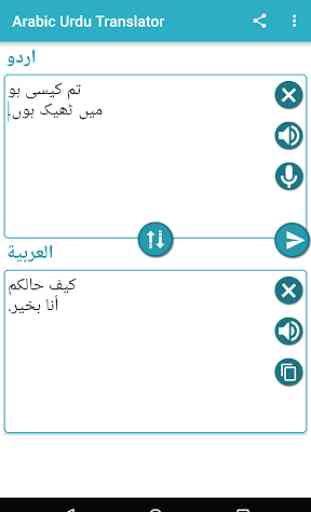 Arabic Urdu Translation 4