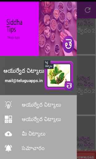 Ayurveda Siddha Herbs Plants Tips In Telugu 4