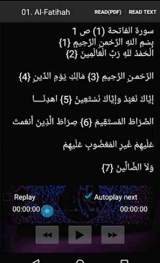 Hani Al Rifai Quran MP3 3