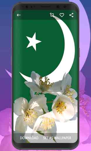 Pakistan Flag Wallpapers | Ultra HD Quality 4