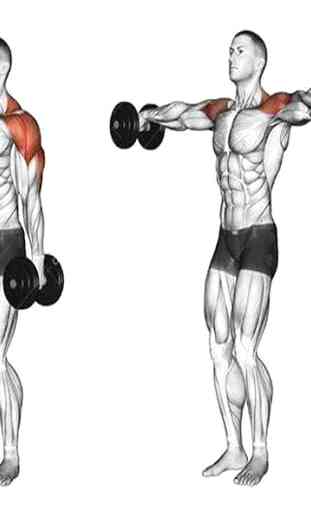 tutoriel exercices musculation 2