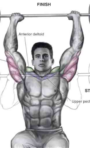 tutoriel exercices musculation 4