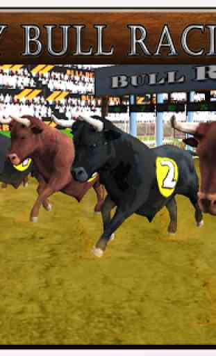 Angry Bull 2016 Racing Sim 4