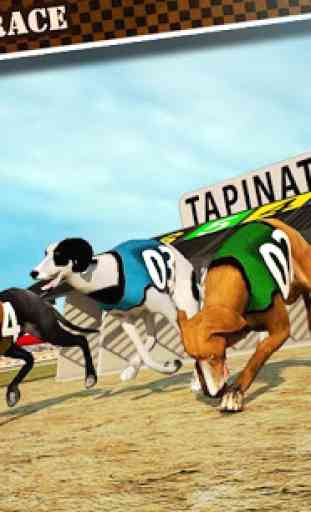 Dog Race & Stunts 2016 1