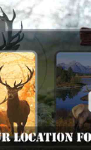 3D Ultimate bout de l'enfer - chasse est tags dans plusieurs saisons de chasse pour devenir le meilleur chasseur de cerfs 3