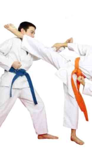 Best Karate Technique 1
