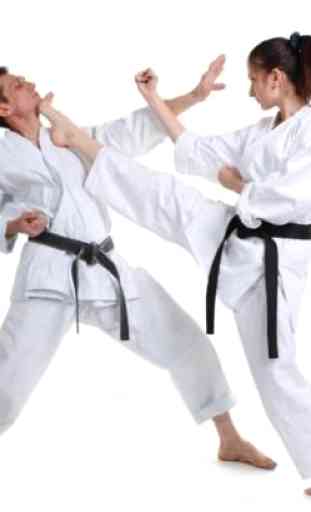 Best Karate Technique 4