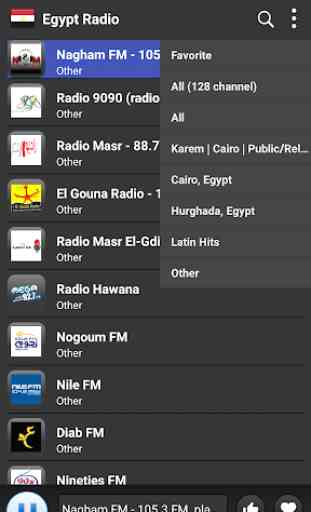 Radio Egypt - AM FM Online 1