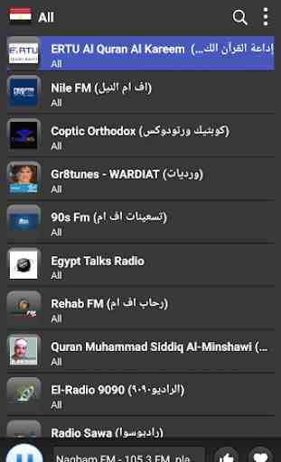 Radio Egypt - AM FM Online 3