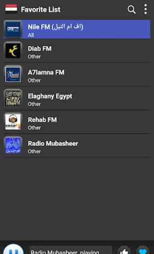 Radio Egypt - AM FM Online 4