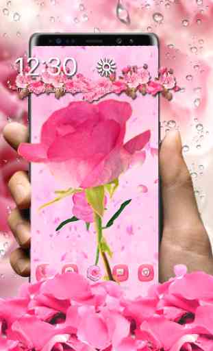 Thème de rose rose 3D 2