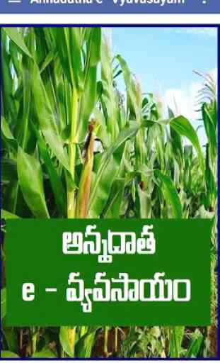 Annadatha | e -Vyavasayam Telugu 1