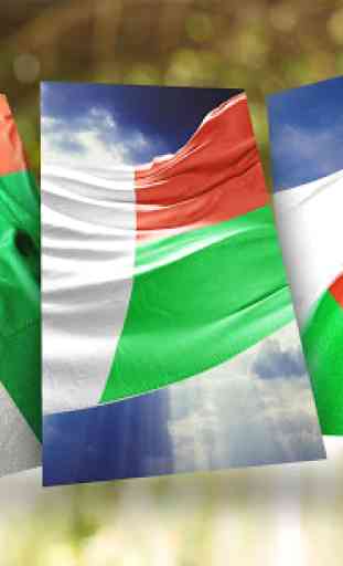 Madagascar Flag Wallpaper 1