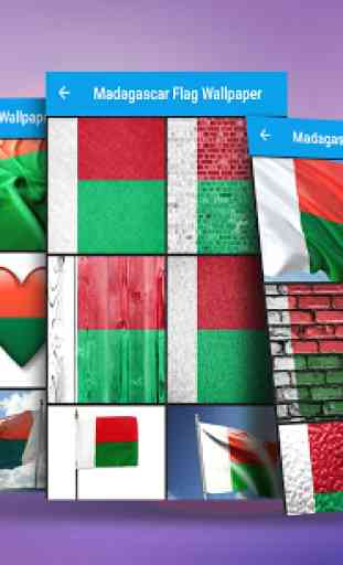 Madagascar Flag Wallpaper 3
