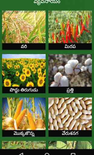 Vyavasayam Telugu Agriculture 2
