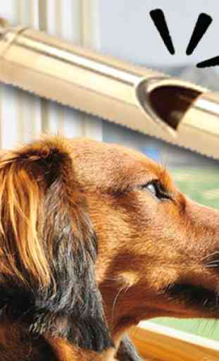 Dog Whistle Soundboard: Bark Sounds 1
