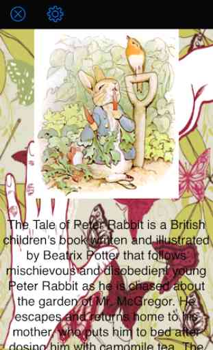 The Tale Of Peter Rabbit 1