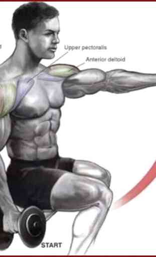 Tutoriel sur la musculation musculation 1