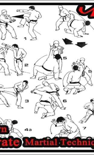 Learn Karate Martial Techniquis 1