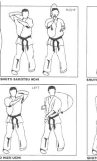 Learn Karate Martial Techniquis 2