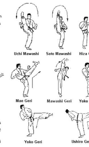 Learn Karate Martial Techniquis 3