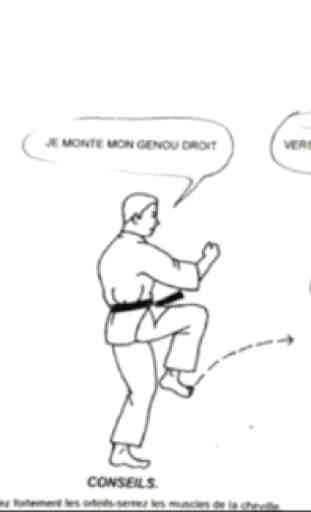 Learn Karate Martial Techniquis 4