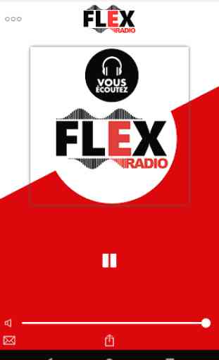 FLEX RADIO 1