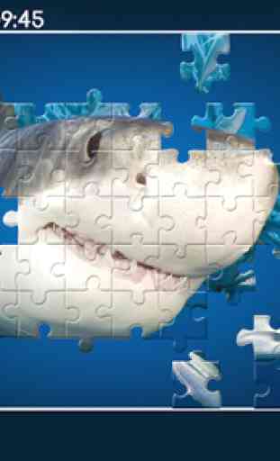 La vie marine photo Puzzle 1