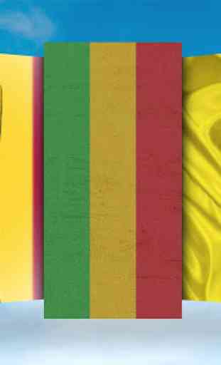 Mali Flag Wallpaper 2