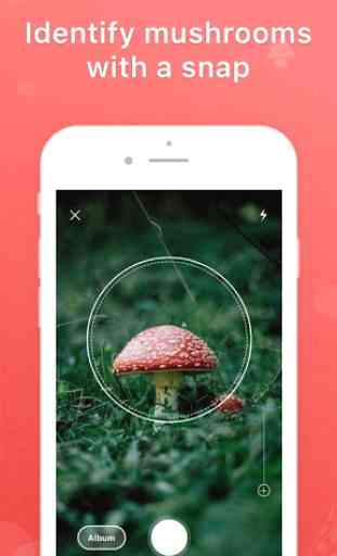 Picture Mushroom - Mushroom ID 1