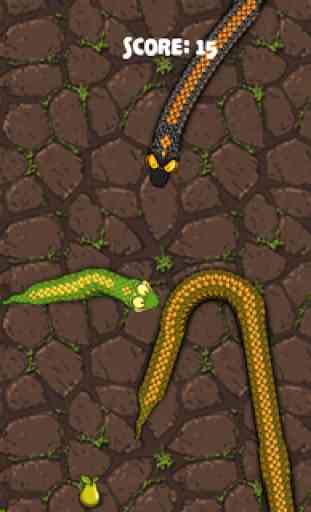 Serpent Attaque 4