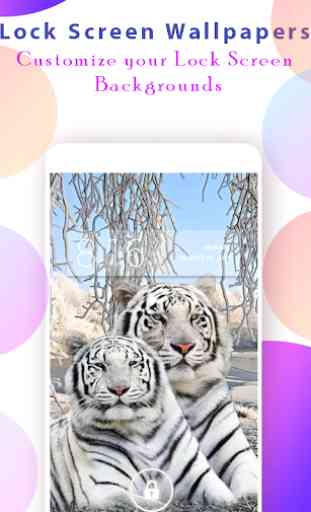 Tiger Wallpapers HD 3