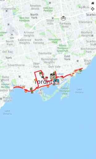 Toronto Waterfront Marathon 3