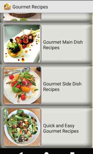 Gourmet Recipes - food, quality gourmet recipes 2