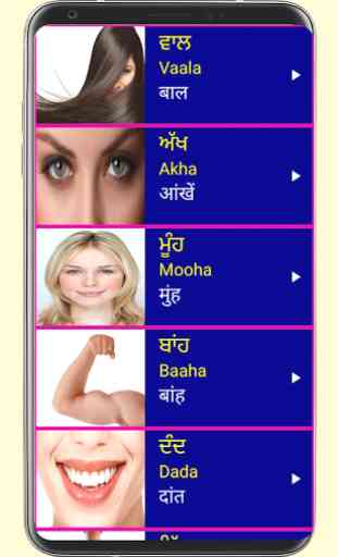 Learn Punjabi From Hindi 3