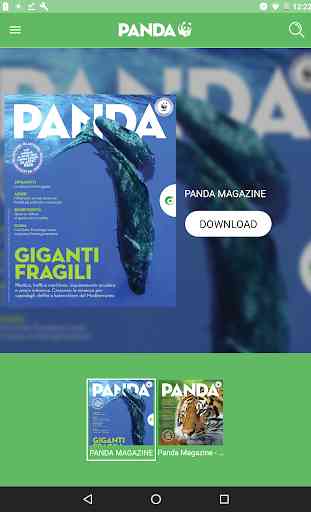 Panda Magazine 1
