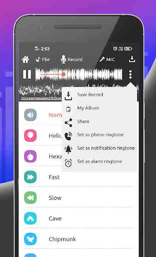 Voice Changer with effects 4