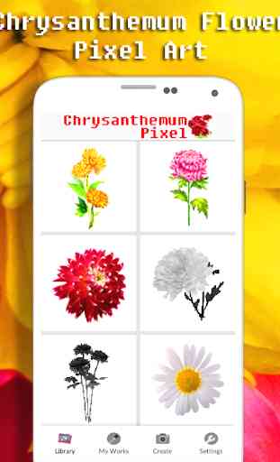 Couleur de fleur de chrysanthème par nombre 1