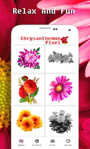 Couleur de fleur de chrysanthème par nombre 4