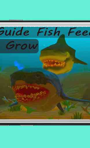 Hints For Fish Feed And Grow PRO 1