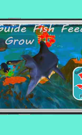 Hints For Fish Feed And Grow PRO 3