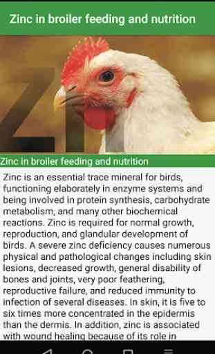 Animal Nutrition 2