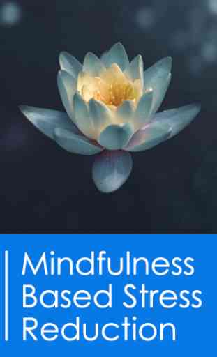 Mindfulness Based  Stress Reduction 1