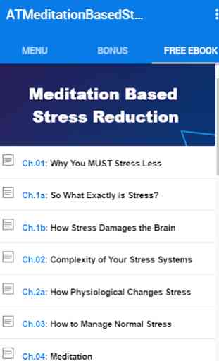 Mindfulness Based  Stress Reduction 2