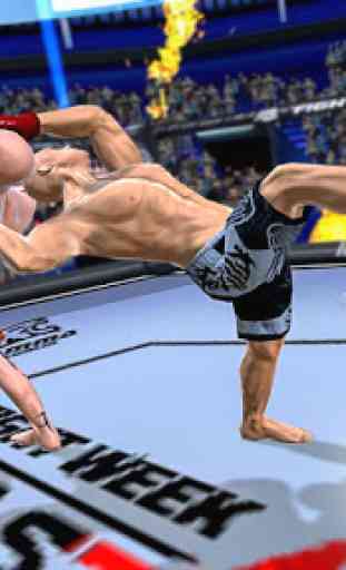 Fighting Star World Champion Game 3D 1