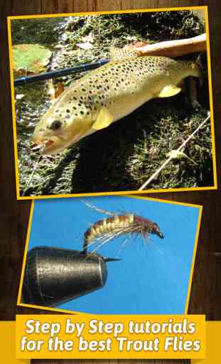 Truite pêche à la mouche et nouer tutoriels - apprendre comment attacher mouches avec pas à pas patterns 2