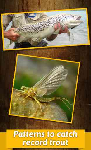 Truite pêche à la mouche et nouer tutoriels - apprendre comment attacher mouches avec pas à pas patterns 3