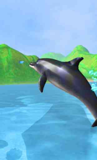 Dolphin Show in Aquarium Free 2