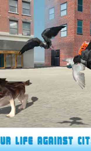 Flying Bird Pigeon Simulator 2 3