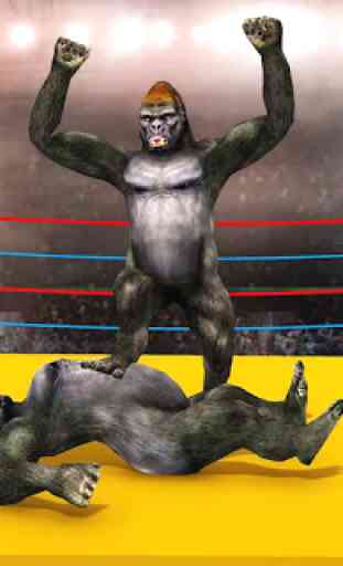 Jeu de boxe Gorilla Ring 1